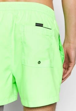 Quiksilver Everyday Volley 15 - Zwemshorts - Green Gecko -Jack and Jones Verkoopwinkel 098e41ddaea94ccea65a3aea9c97d230