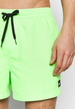 Quiksilver Everyday Volley 15 - Zwemshorts - Green Gecko -Jack and Jones Verkoopwinkel 0af7e93624024cbc9eb93aa6cf33d38d