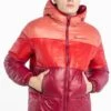 Champion Hooded- Winterjas - Red -Jack and Jones Verkoopwinkel 0ea0b088812244b0897e6e7739121b9b