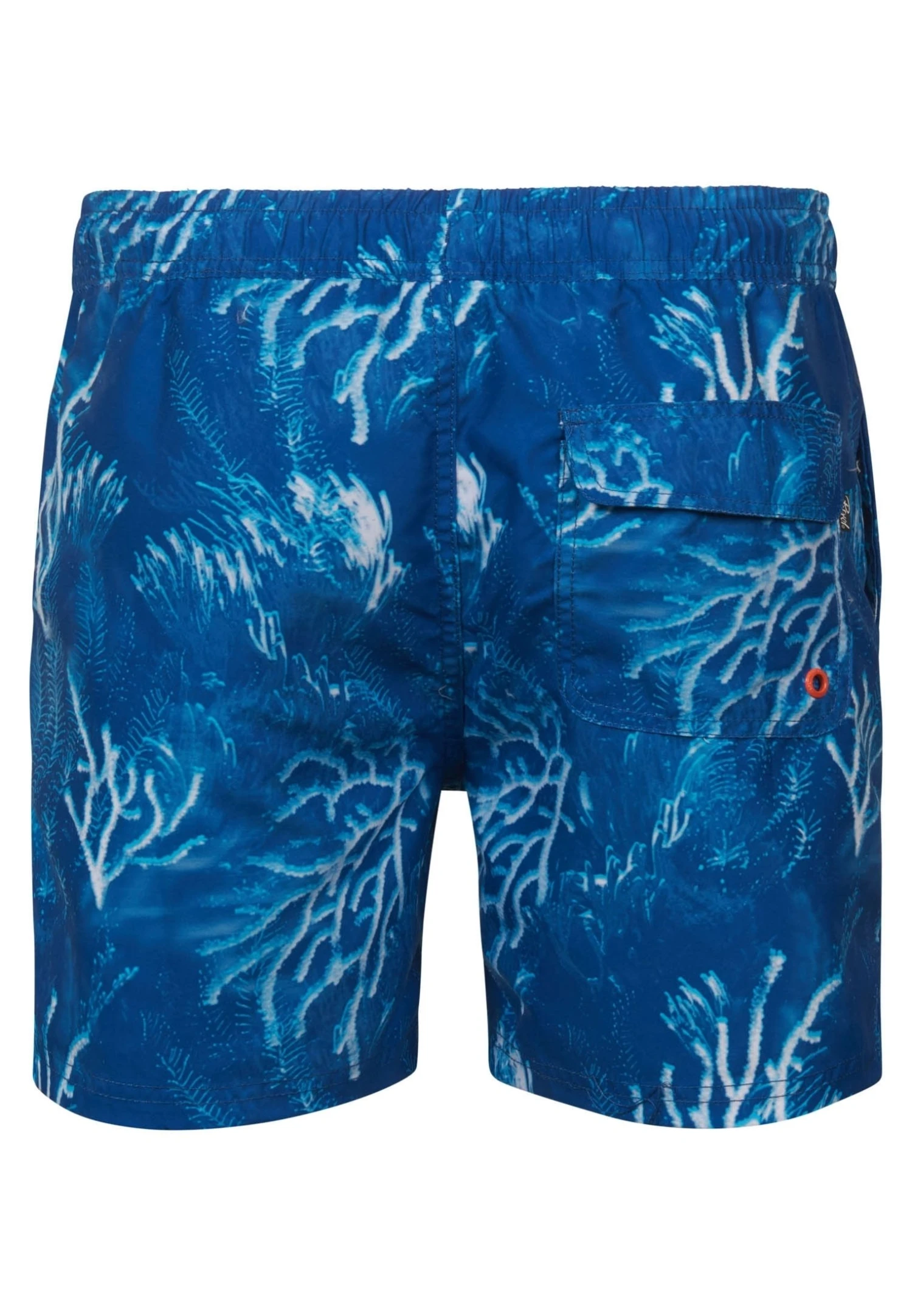 Petrol Industries With All-Over Print - Zwemshorts - Imperial Blue 10 Petrol Industries With All-Over Print - Zwemshorts - Imperial Blue - Afbeelding 8