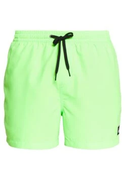 Quiksilver Everyday Volley 15 - Zwemshorts - Green Gecko -Jack and Jones Verkoopwinkel 1ba7d5d5f0ec47a58f538712d61d9a3a