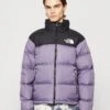 The North Face 1996 Retro - Winterjas - Lunar Slate/Black