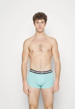 Gant Basic Trunk 3 Pack - Onderbroeken - Lagoon 11 Gant Basic Trunk 3 Pack - Onderbroeken - Lagoon -Jack and Jones Verkoopwinkel 218c87b914a94347b8ef2e8e709d5504