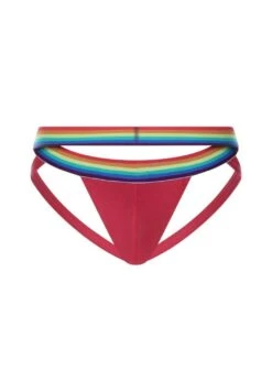 Rainbow - Slip - Rot -Jack and Jones Verkoopwinkel 2a36e39fc5f24ef8a7ba5dbf6a773e75