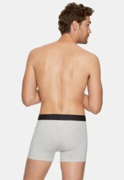 Eden Park Onderbroeken - Gris -Jack and Jones Verkoopwinkel 34d7952e1bb247c4a4a1c22c390bd910