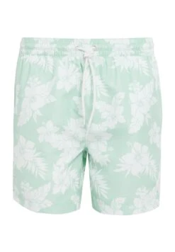 Threadbare Thb Sunset - Zwemshorts - Mint 11 Threadbare Thb Sunset - Zwemshorts - Mint -Jack and Jones Verkoopwinkel 44c196e59ead4cc9a88300c599683fb9