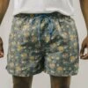 Brava Fabrics Agua De Coco Mist - Zwemshorts - Green 1 Brava Fabrics Agua De Coco Mist - Zwemshorts - Green -Jack and Jones Verkoopwinkel 47733f34b6b342248e14adadf9fcab39
