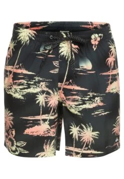 Quiksilver Everyday Mix Volley 17 - Zwemshorts - Black 13 Quiksilver Everyday Mix Volley 17 - Zwemshorts - Black -Jack and Jones Verkoopwinkel 47bedf6963d042e288ac4a2ed41e249a