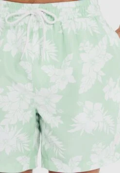 Threadbare Thb Sunset - Zwemshorts - Mint 10 Threadbare Thb Sunset - Zwemshorts - Mint -Jack and Jones Verkoopwinkel 5c8e80882c174f9dbb8716c98133ab11