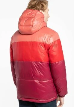 Champion Hooded- Winterjas - Red -Jack and Jones Verkoopwinkel 64d5ff6afcb7437893a0dcebc9c1d49c