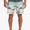 Quiksilver Panel 18 - Zwemshorts - Kzm -Jack and Jones Verkoopwinkel 722a0e3c2ae3464b972e7c786b86790f