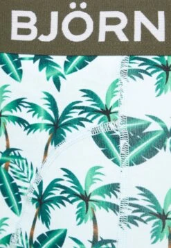 BJØRN BORG Boxer 3 Pack - Onderbroeken - Light Blue/ Green/ Black 13 BJØRN BORG Boxer 3 Pack - Onderbroeken - Light Blue/ Green/ Black -Jack and Jones Verkoopwinkel 8afe341c6bc34df19ab23738c890ad56