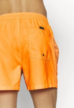 Quiksilver Everyday Volley 15 - Zwemshorts - Orange Pop -Jack and Jones Verkoopwinkel 8c1a84f691bd4f2c99ebf9ed32aeb755