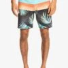 Quiksilver Panel- Zwemshorts - Tarmac 2 Quiksilver Panel- Zwemshorts - Tarmac -Jack and Jones Verkoopwinkel 8e2d836678d24530bf844a548a2d348d