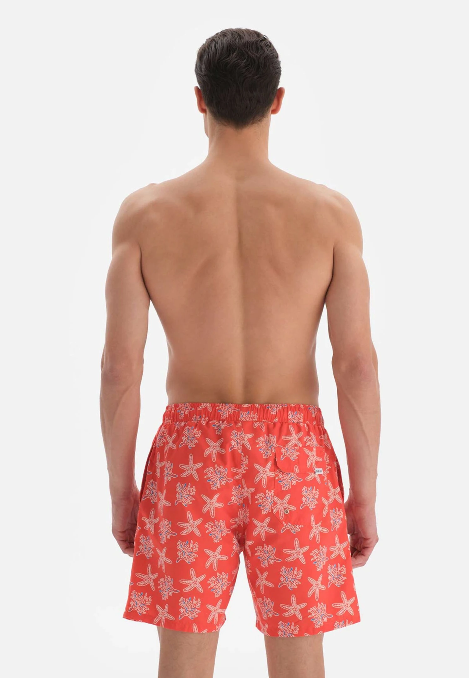 Nautical . - Zwemshorts - Salmon 5 Nautical . - Zwemshorts - Salmon - Afbeelding 3