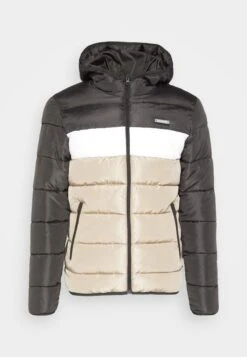 Jack & Jones Jjtylor Puffer Jacket - Winterjas - Asphalt -Jack and Jones Verkoopwinkel 97821f98840c430f9c0e9dbef8b5eec8