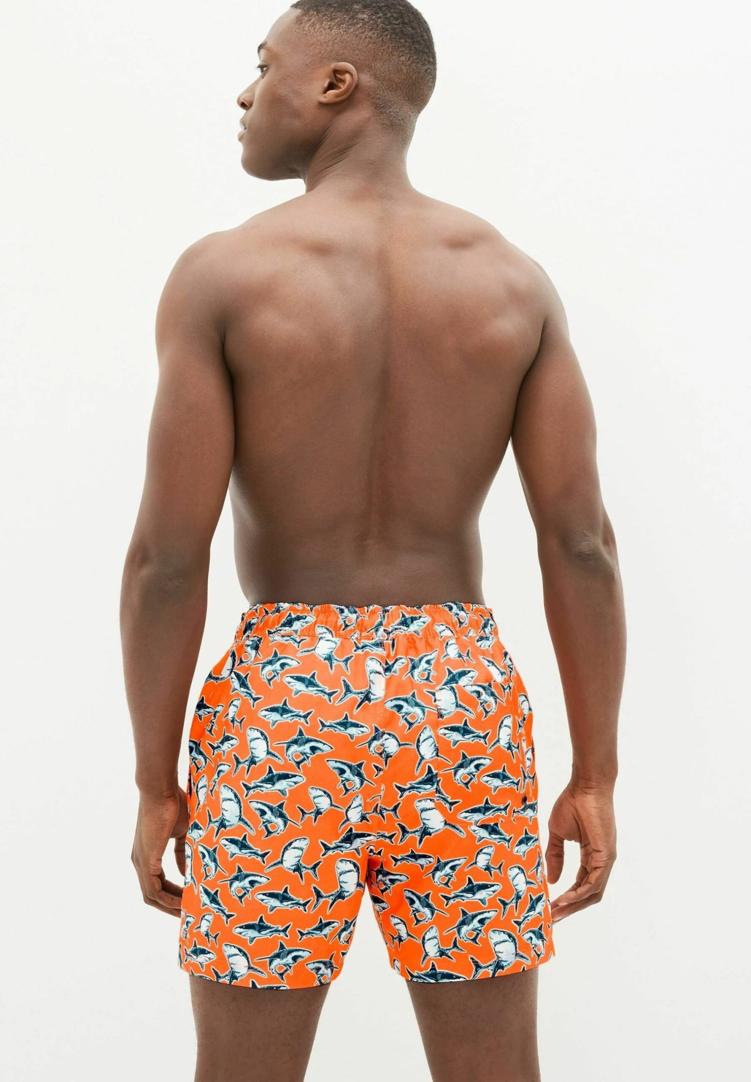 Next Printed Standard - Zwemshorts - Orange Shark Print 5 Next Printed Standard - Zwemshorts - Orange Shark Print - Afbeelding 3