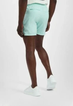 In Shiny - Zwemshorts - Mint 7 In Shiny - Zwemshorts - Mint -Jack and Jones Verkoopwinkel aeb15d66744b4ee481e077e2dfca2bd4