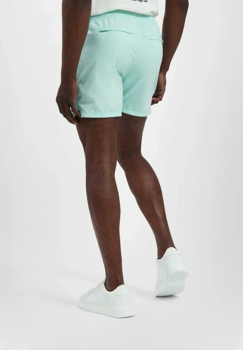In Shiny - Zwemshorts - Mint 5 In Shiny - Zwemshorts - Mint - Afbeelding 3