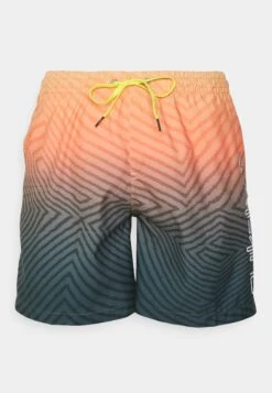 Quiksilver Everyday Warped Logo Volley - Zwemshorts - Midnight Navy 8 Quiksilver Everyday Warped Logo Volley - Zwemshorts - Midnight Navy -Jack and Jones Verkoopwinkel b6190f22a1c34351b3794b17484e35aa