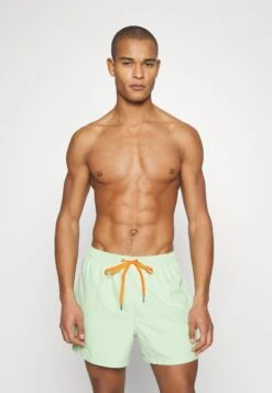 Quiksilver Everyday Volley 15 - Zwemshorts - Light Green 7 Quiksilver Everyday Volley 15 - Zwemshorts - Light Green -Jack and Jones Verkoopwinkel b9800b207ace4246b0a2a7e966542bb0