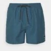 Quiksilver Everyday Volley 15 - Zwemshorts - Real Teal Heather -Jack and Jones Verkoopwinkel b9d99bd7af98475bbce5fbeb0e9fca40