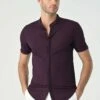 Mandarin Collar Short Sleeve Slim Fit - Overhemd - Damson 1 Mandarin Collar Short Sleeve Slim Fit - Overhemd - Damson -Jack and Jones Verkoopwinkel bc8584780ad1421d9c0c02e4ff38dd90