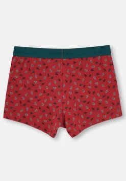 3 Pack - Onderbroeken - Green 12 3 Pack - Onderbroeken - Green -Jack and Jones Verkoopwinkel c4846ebe789d4a9daa72b93465a30e6a