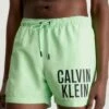 Medium Drawstring - Zwemshorts - Lime Mist 2 Medium Drawstring - Zwemshorts - Lime Mist -Jack and Jones Verkoopwinkel cfb2f5a27d18435581573f75ec298d08