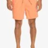 Quiksilver Everyday Volley 16 - Zwemshorts - Fresh Salmon -Jack and Jones Verkoopwinkel d05608e280c841e5a9c39ca259e0f6a0