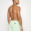 Quiksilver Everyday Volley 15 - Zwemshorts - Light Green 2 Quiksilver Everyday Volley 15 - Zwemshorts - Light Green -Jack and Jones Verkoopwinkel d6c8e9159d62406f9e63d5f2d75bd866