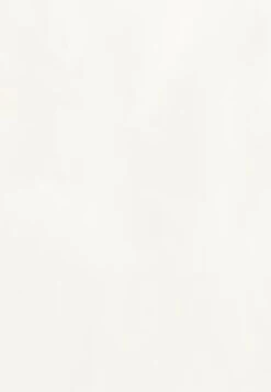 Seidensticker Zakelijk Overhemd - Grau 11 Seidensticker Zakelijk Overhemd - Grau -Jack and Jones Verkoopwinkel dbc8ef648767453ea651ab3155ab0a94