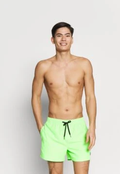 Quiksilver Everyday Volley 15 - Zwemshorts - Green Gecko -Jack and Jones Verkoopwinkel e6f598058ee34c9f90eb441b1d4825ea