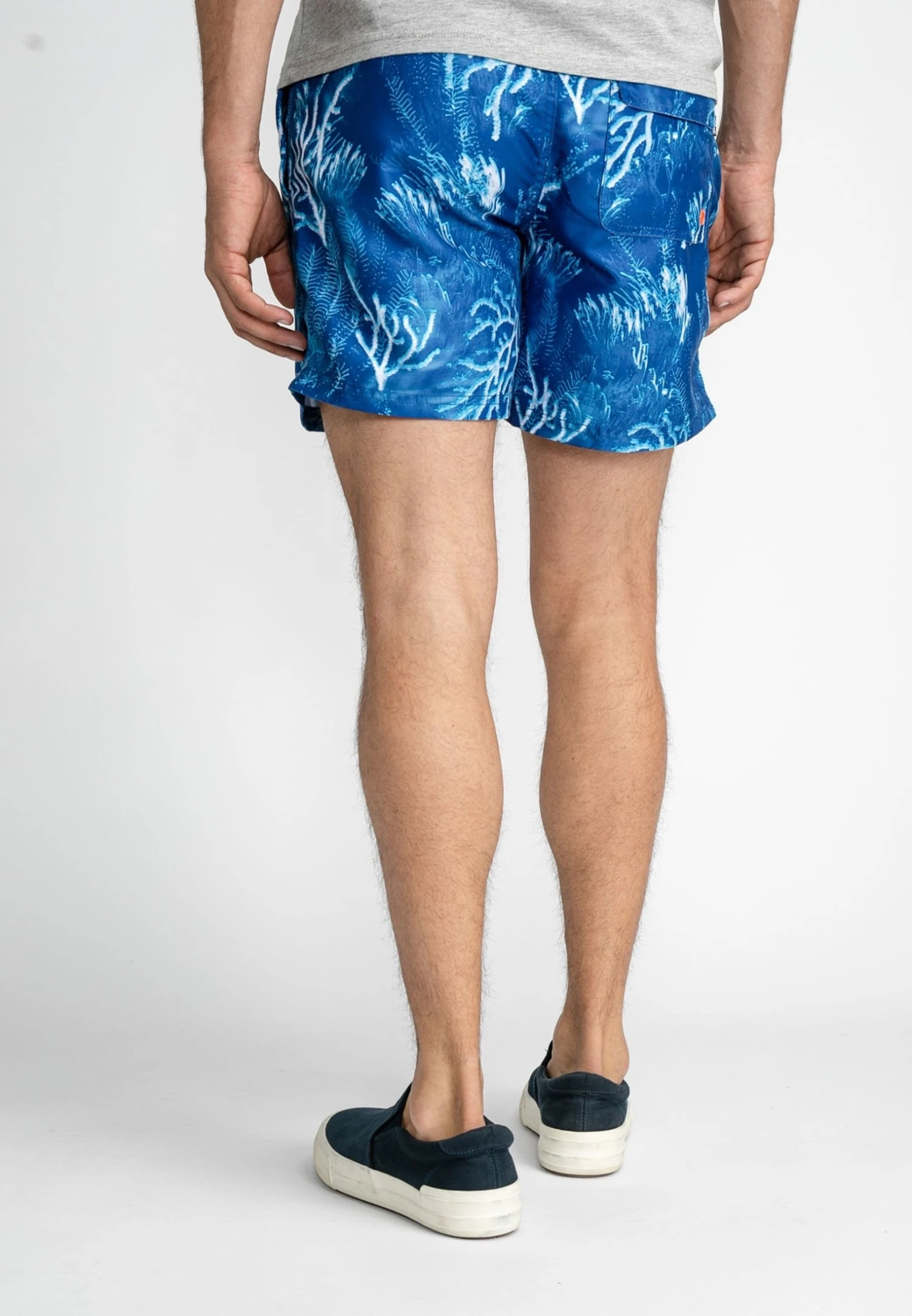 Petrol Industries With All-Over Print - Zwemshorts - Imperial Blue 5 Petrol Industries With All-Over Print - Zwemshorts - Imperial Blue - Afbeelding 3