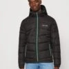 Jack & Jones Jjglobus Light Puffer - Jas - Black -Jack and Jones Verkoopwinkel f07b7cb94d3d4795adaf2b5f7617b1fd