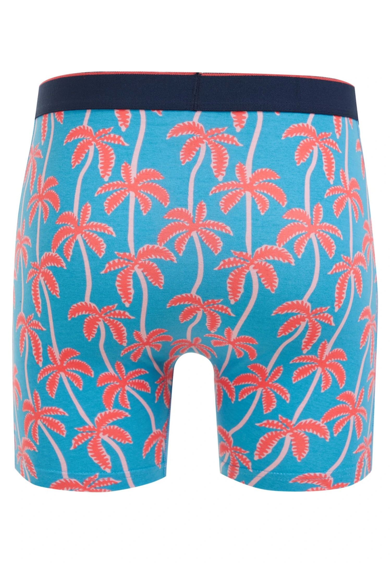 WE FASHION Met Dessin - Onderbroeken - Blue 6 WE FASHION Met Dessin - Onderbroeken - Blue - Afbeelding 4